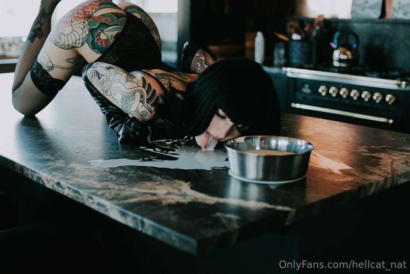 Dont Cry Over Spilled Milk 🐮 6