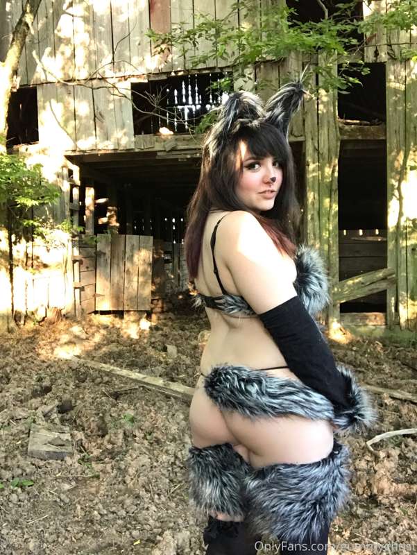 The big bad wolf will huff and puff and blow more than your .. 2