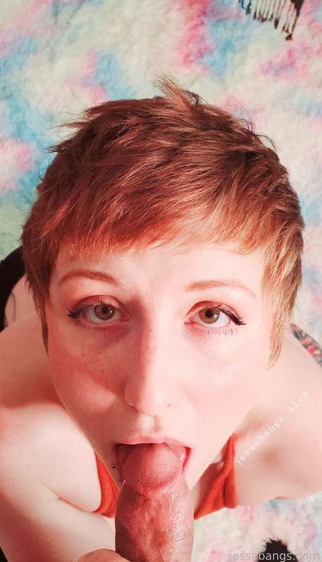 Jessebangs - Fansly - 24 Mar, 2022