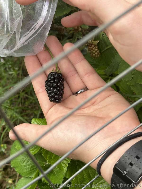 Alaina is back with another garden update! We've harvested g.. 1
