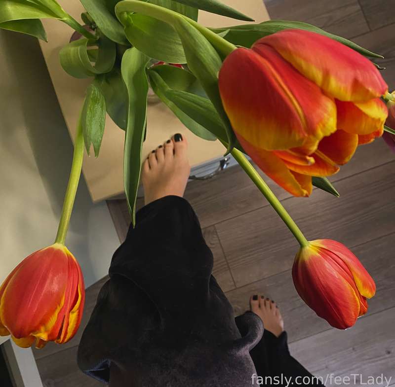 Feetlady - Fansly - 10 Mar, 2023 3