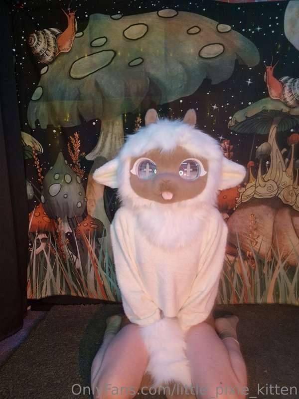 My newest fursuit, Haruki the Sheep 🐑 5