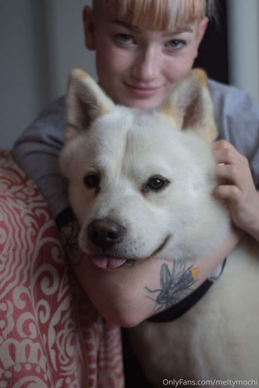 Also, here's my dogs to wrap up this evening 🥺 
The white on..
