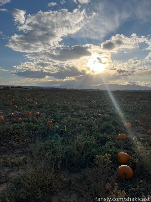 Shakicast - Fansly - 31 Oct, 2024 3