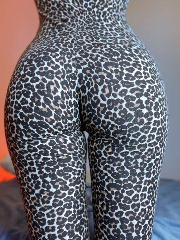 You like cats? 
‘Cause I know a pussy you can play with 🧶 5