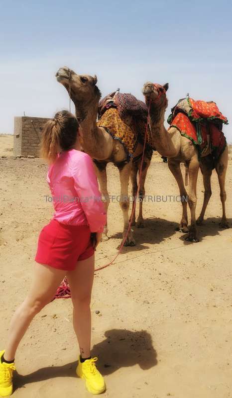 Got to see some camels! What did you get up to? 😍