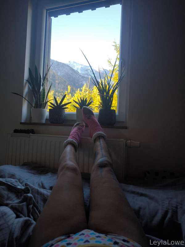 Woke up to a sunny morning and the mood was instantly better..