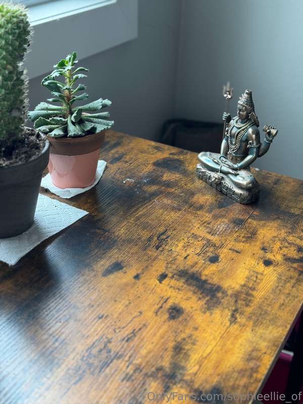 Shiva on cactus watch.