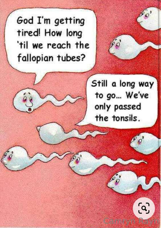 Sorry I thought these were funny😂