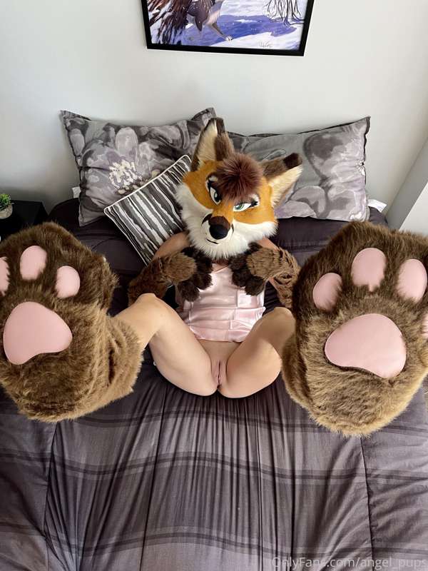 Paws anyone? 🐾💖 2