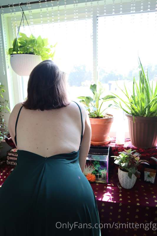 🪴 🌱 plant mommy 🌿 🌾 6