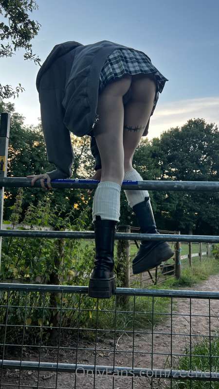 trying to climb over field gates in a skirt... 3