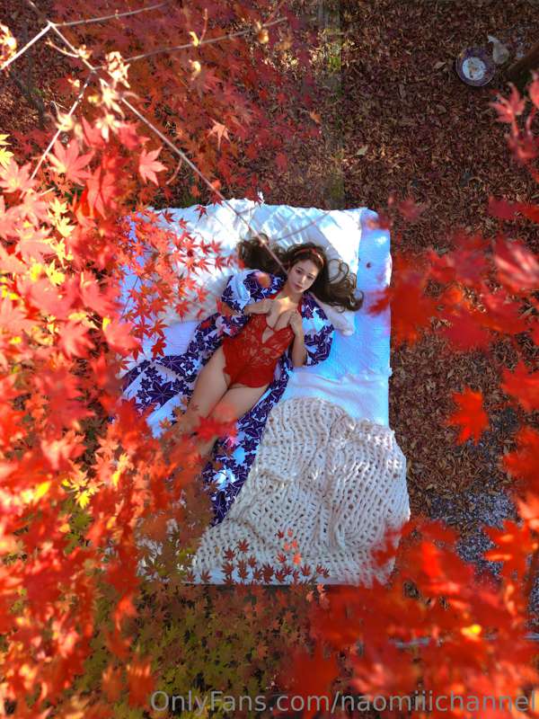 🍁🍁🍁❤️‍🔥 32