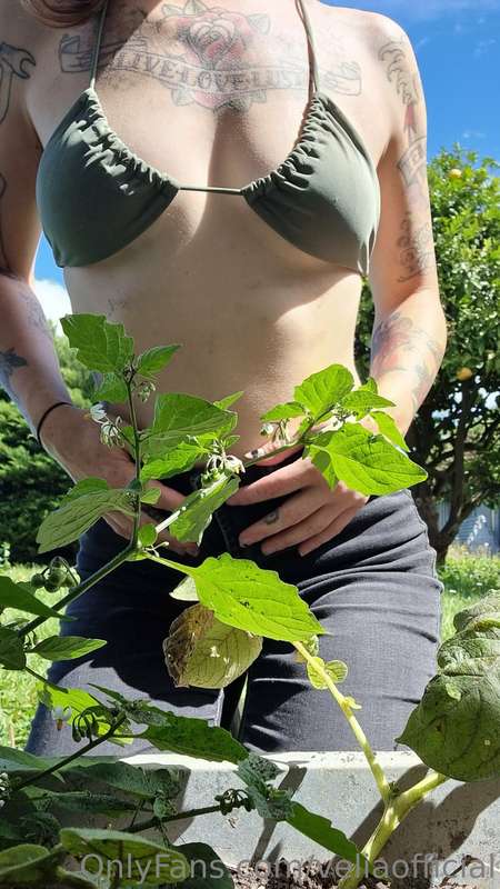 Come pick some grapes with me 🍇 3