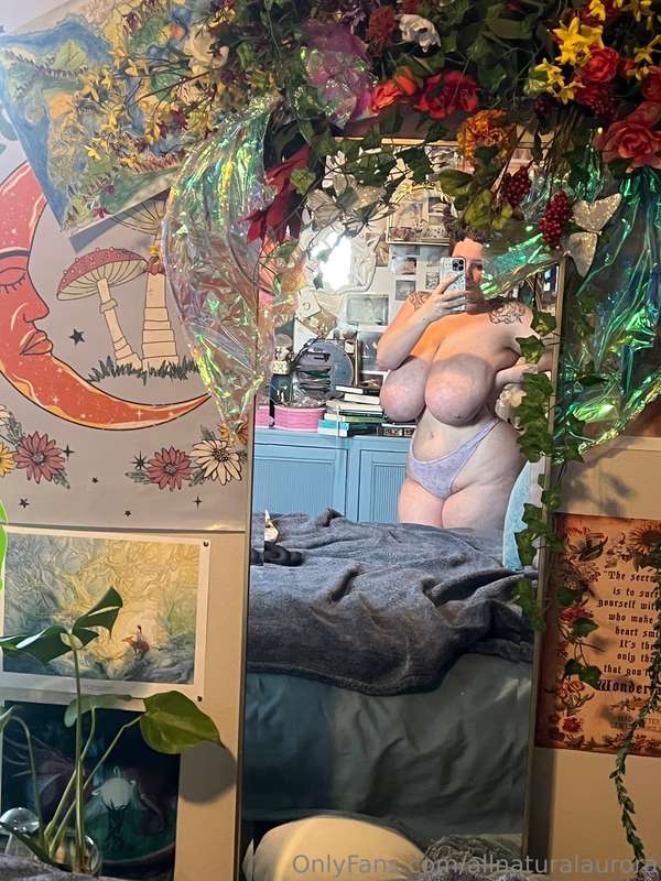 Mirror mirror on the wall who has the biggest titties of the..