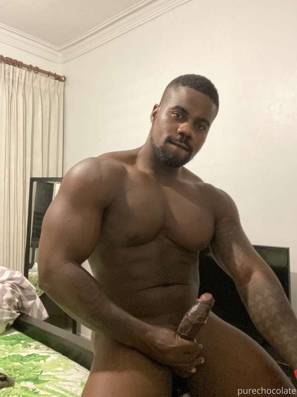 Quieres un trozo de chocolate ?