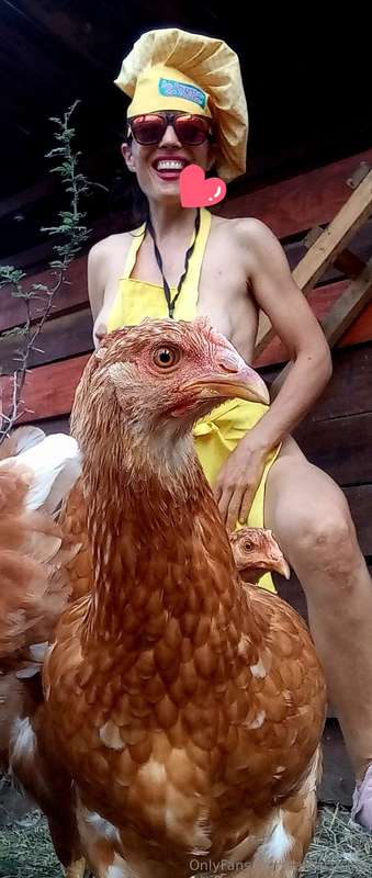 Mis amigas las Gallinas 🐓🐓🐓🐥🐤🐣#lagranjadetalita👩‍🍳❤️ 6