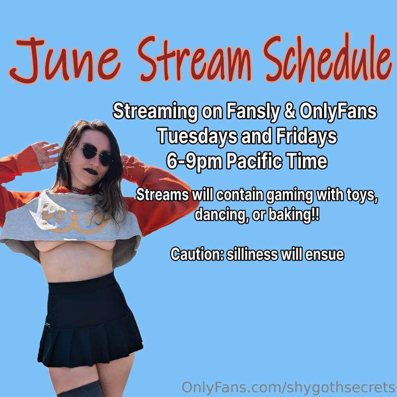 Stream Schedule for the month!