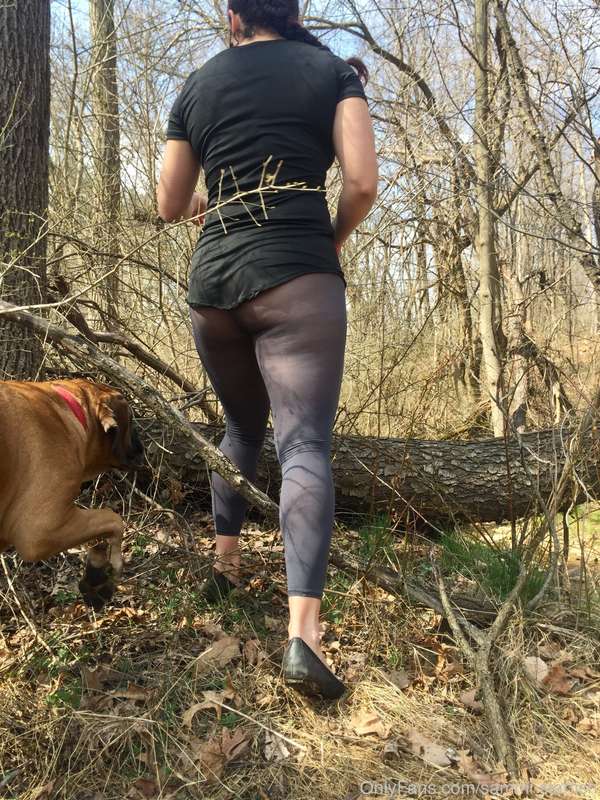 20 more pictures from the dog walk through the neighborhood... 13