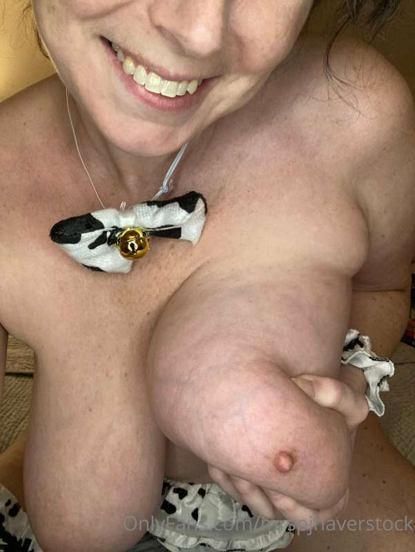 For this week’s silly Sunday I bring you the infamous cow co.. 3