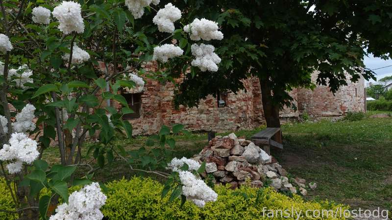 Lostodg - Fansly - 30 May, 2023 16