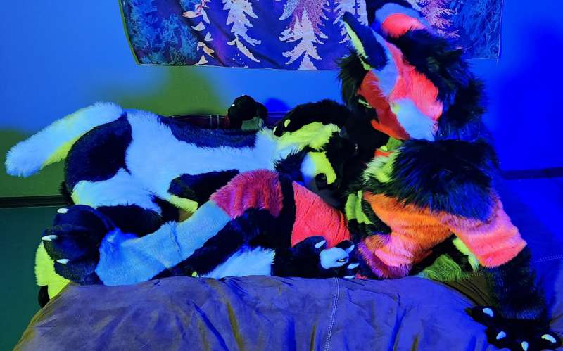 Enjoy a few pictures taken with the seductive doggo @doublea.. 2