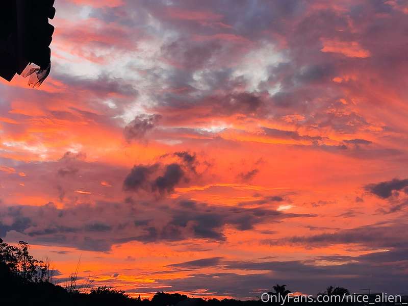 From my window...