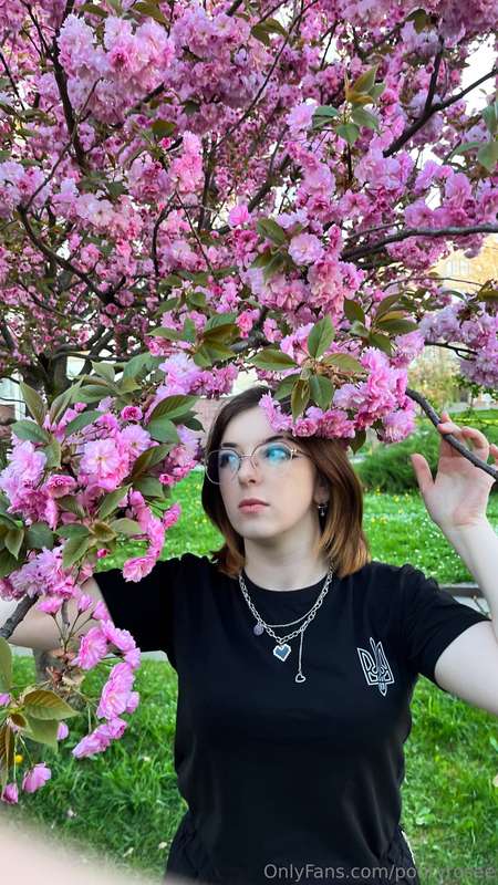 Was walking today and couldn't pass by this beautiful tree a..