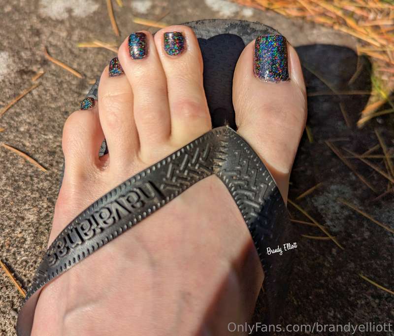 ✨