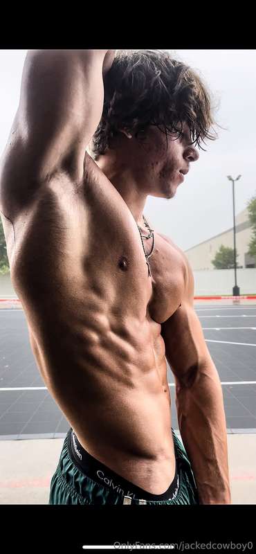 Shreds 🔪 3