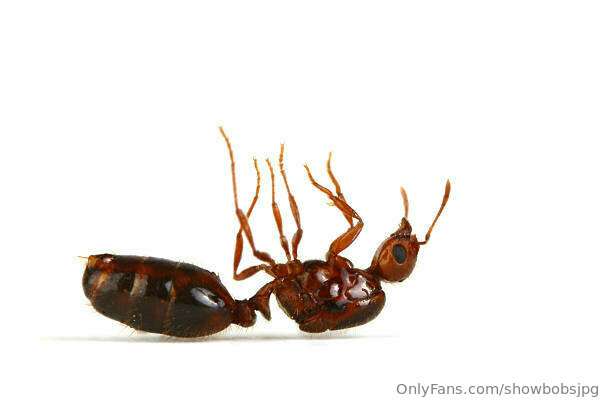 i call this position ‘dead ant’ (swipe for reference) 2