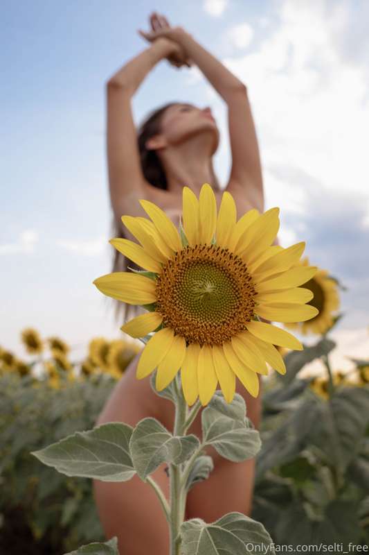 Do you like flowers?🌻