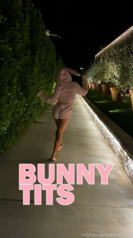 Want to see the full video of this Bunny playing with her ti..