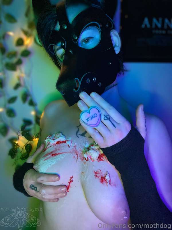 Puppy found some cupcakes and it got a little messy 💖🧁 8