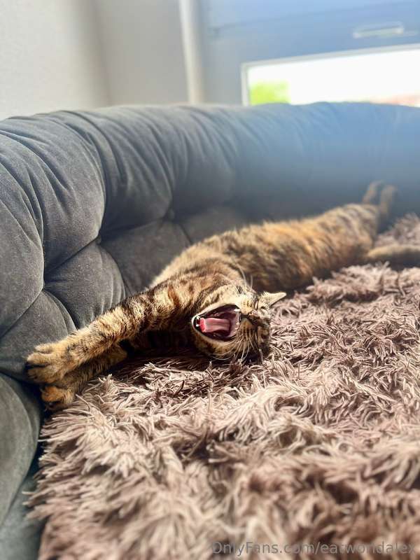 have a great weekend! 😴 big thanks to all of you for the sub..