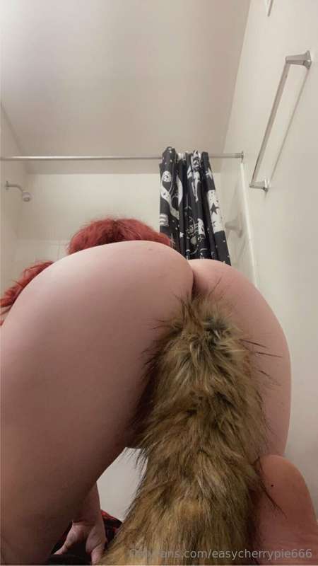 Pets?🤭🐶