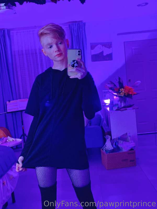 Pawprintprince - Onlyfans - 17 Dec, 2022