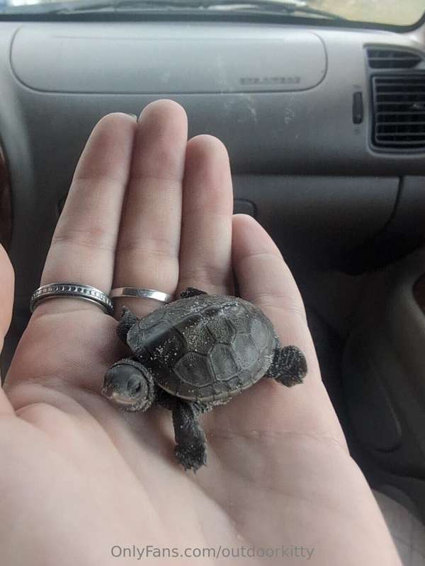 Life is so sweet🍑I also love saving lil animals🥹I found a di.. 11