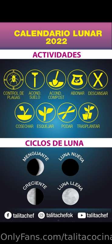 Tu guía lunar semanal para potenciar 💪tus cultivos 👩‍🍳 🌱 ♥️ .. 1