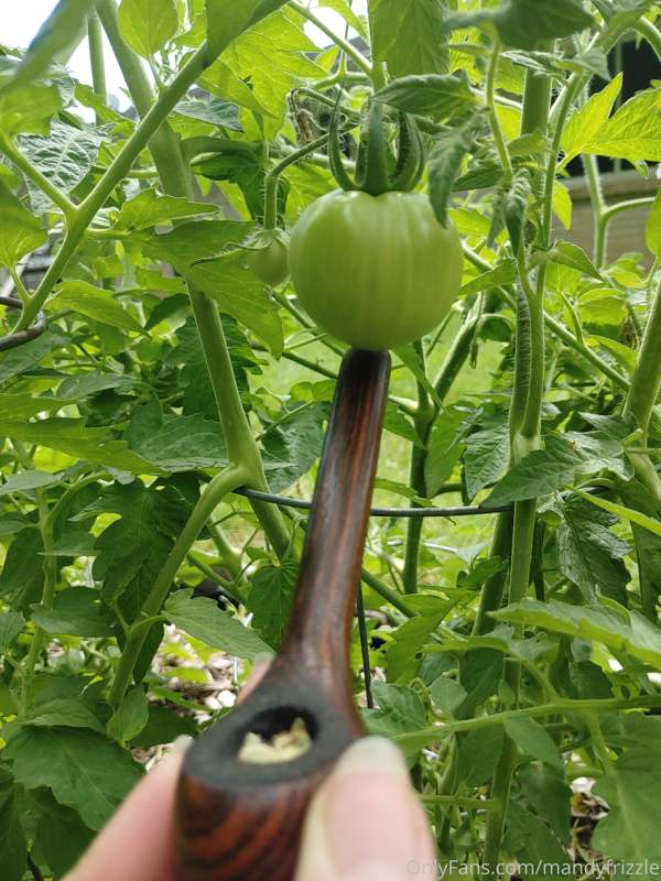 Produce update I have peppers ☺ 1