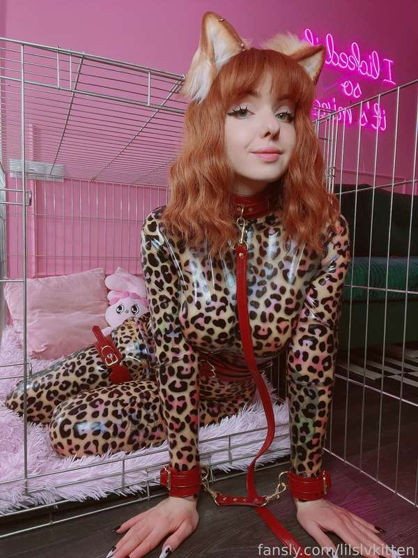 Lilslvkitten - Fansly - 28 Apr, 2025 1