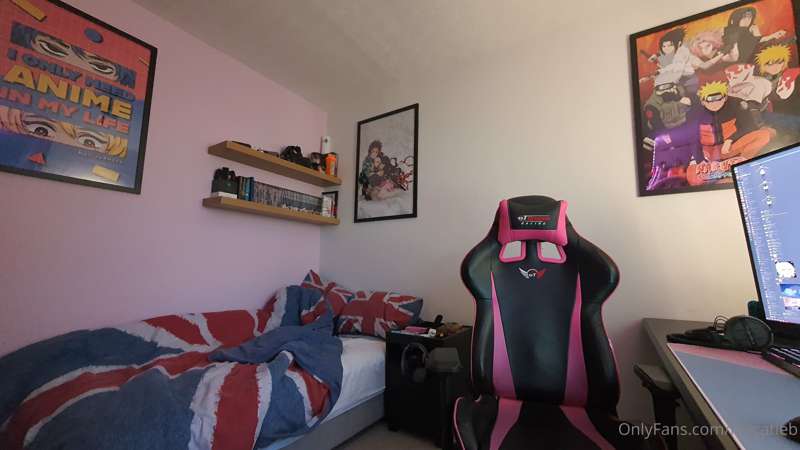 Posters framed, Sound panels ordered :3
just Lighting and a ..