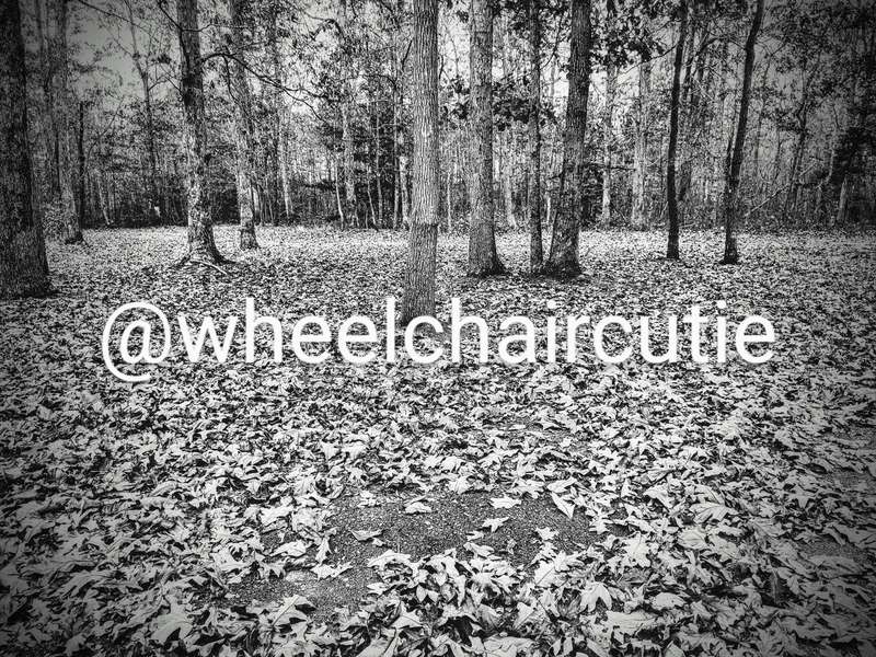 Wheelchaircutie - Fansly - 21 Nov, 2022 5