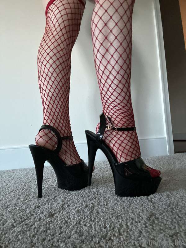 Feet ;3 black heels and red fishnets with close ups and pict.. 5