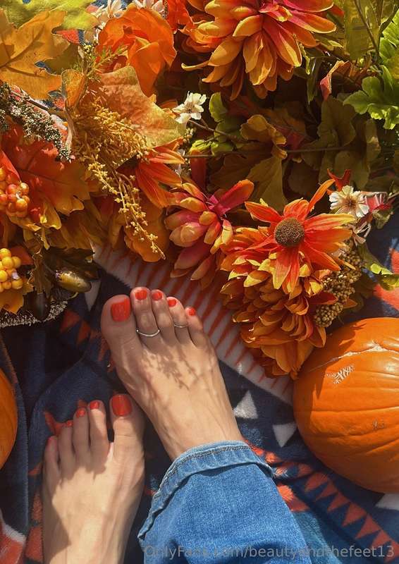 Fall is my favorite season! What about you?? 4