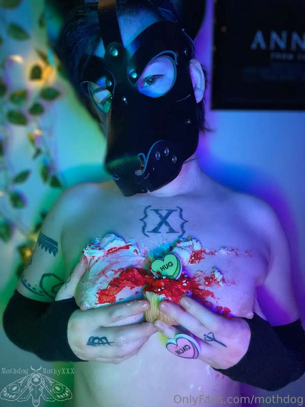 Puppy found some cupcakes and it got a little messy 💖🧁 5