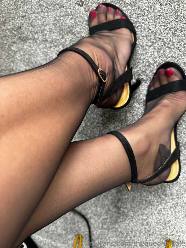 Perfect stunning stockings 🖤 Cervin are so classy! 1