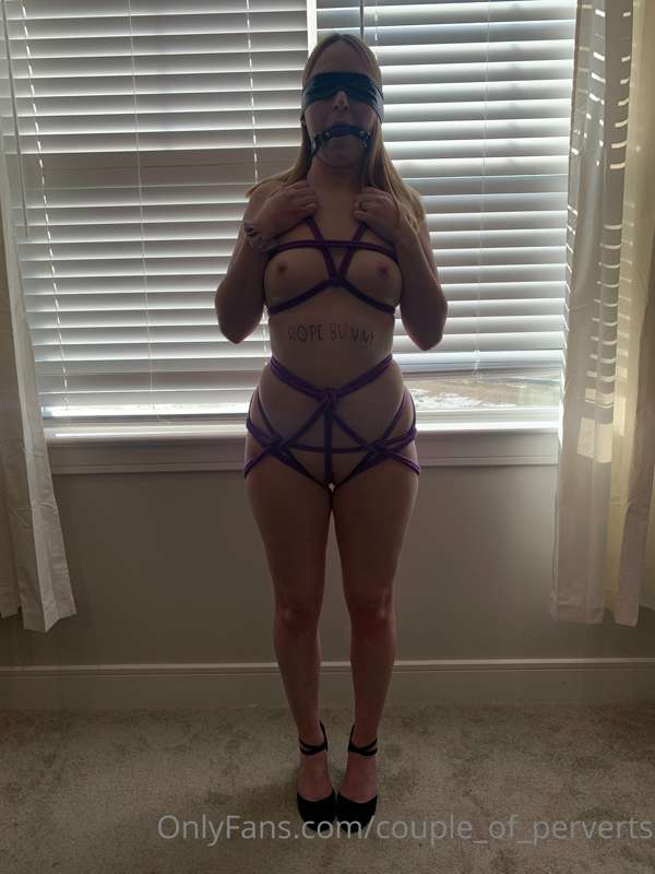 Purple rope bunny (PPV #2) 18