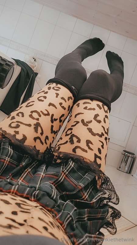 Catboi 😎💕😼 3