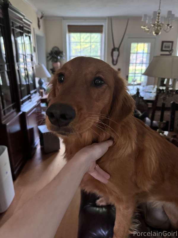 Gaia says hi to you guys